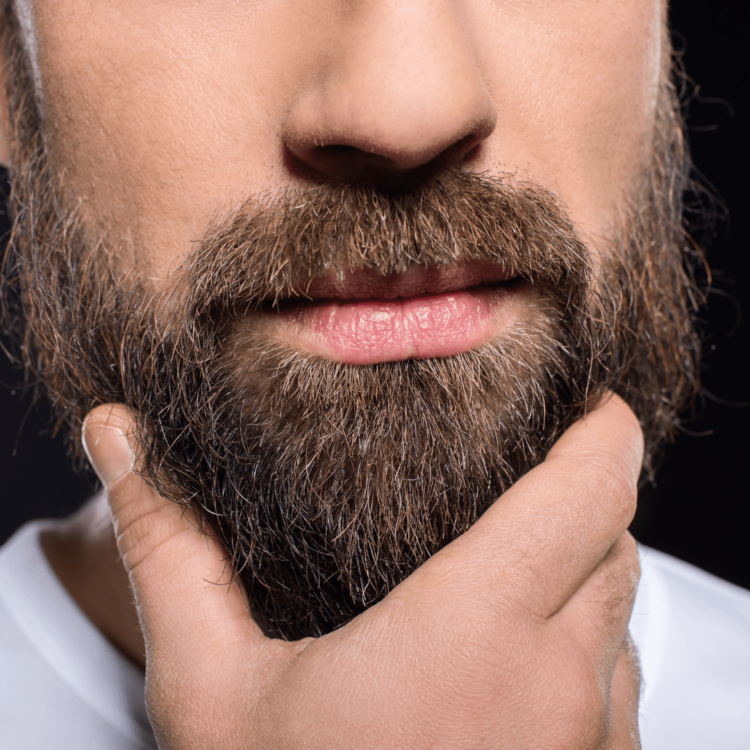 Greffe Barbe Lyon - Lille - L'esthetic Clinic